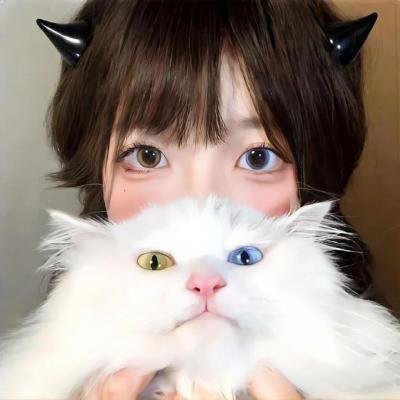 被炉、蜜桔和小猫